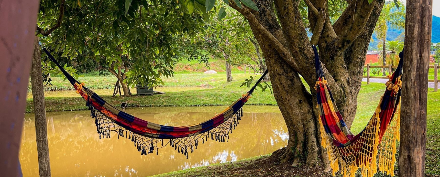 Redes penduradas nas árvores à beira do lago